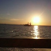 Amy Pardue's photo