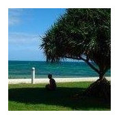 Carole Trancart's photo