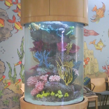 A portfolio of custom aquariums from our 17+ year history.