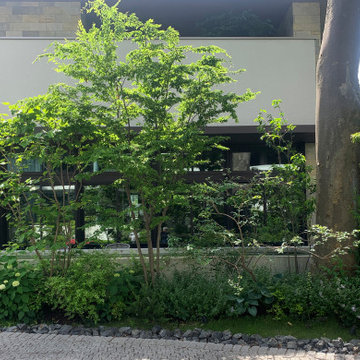 高井戸の庭