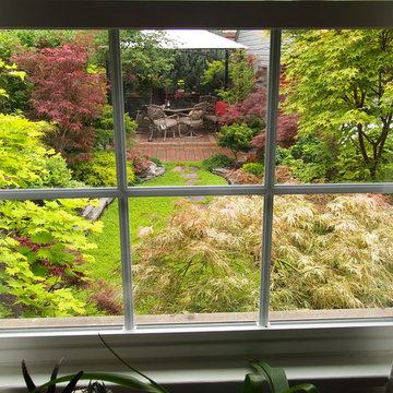 The Japanese Maple Garden