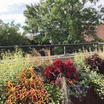 DC ROOF DECK