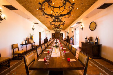 Daou Winery