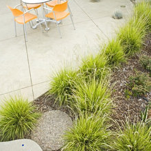 backyard ideas
