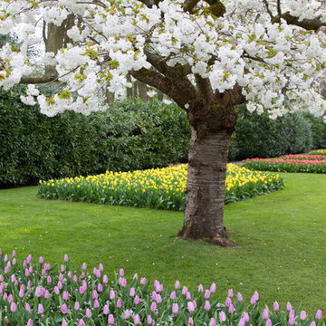 Keukenhof: World's Largest Bulb Garden