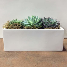 planters