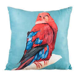 Parrot Cushion - Products