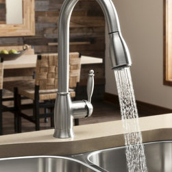 http://www.exoticbathexpo.com/blanco-blancograce-ii-kitchen-faucet-with-pull-dow - Kitchen Faucets