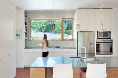 Kitchen - contemporary kitchen idea in Toronto