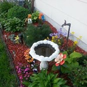 Tammy Keene's photo