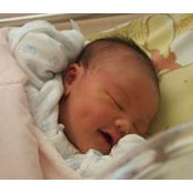 Jayden Wong's photo