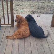 Shari Frederick's photo