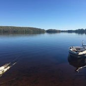 Tom Maun's photo