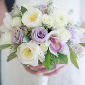 Jill Pocsik's photo