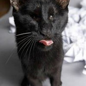 Audra Heaslip's photo
