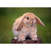 Kevin Doughty's photo
