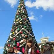 龙清华's photo