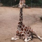 Sharron Terrel's photo
