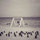 Roxanne Lin