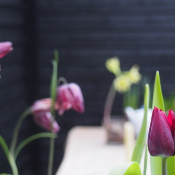 Blomsterløg