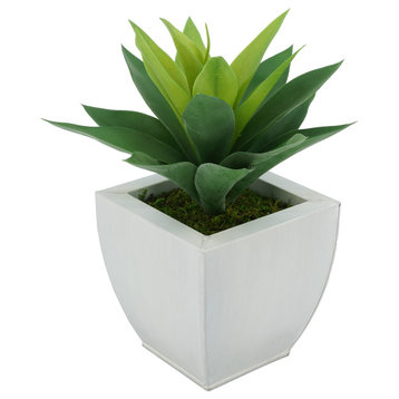 Faux Frosted Light Green Succulent in Tapered Zinc Pot, Cream