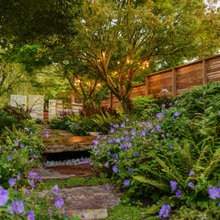 Landscape Ideas