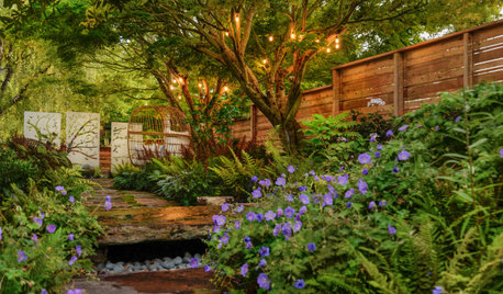 Yard of the Week: Underused Side Yard Now a Shady Retreat
