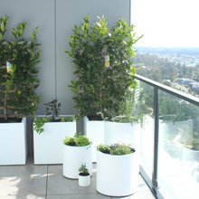 Balcon