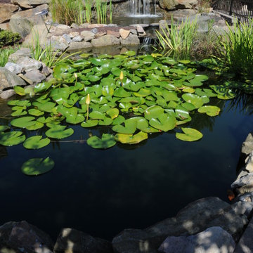 Theme Garden