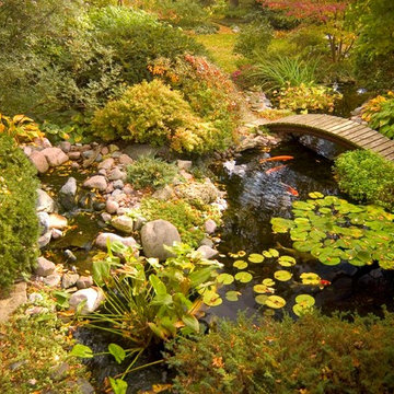 Backyard Retreat