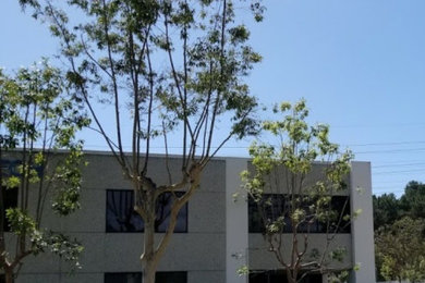 Tree Care