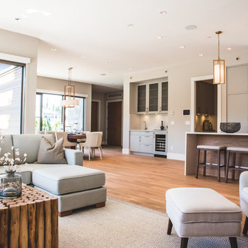 Family Room - Transitional
