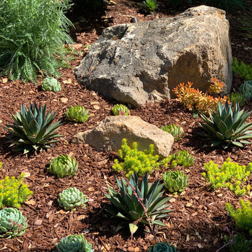 Oak Tree Setting With Hillside Views, Landscape Renovation, Northern California