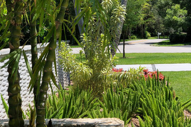 This is an example of a contemporary garden in Miami.