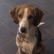 Matt Morash's photo