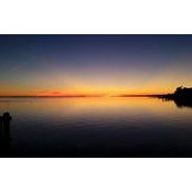 Larry Crouse's photo