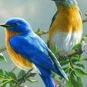 Cheryl Sizemore's photo