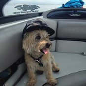 Seth Parsons's photo
