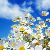 Ariana Ciuca's photo