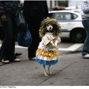 Gina Pezzetta's photo