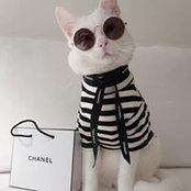 Susan Diego's photo