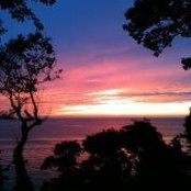 Elyse Reilly's photo