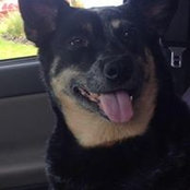 Tracy White's photo