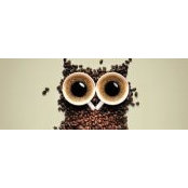 Annie Xu's photo