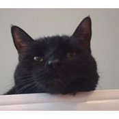 Cindy Johnson's photo