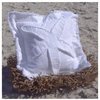 Coastal Starfish Throw Pillow, White on White