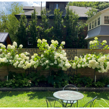 Hydrangea Floral Show