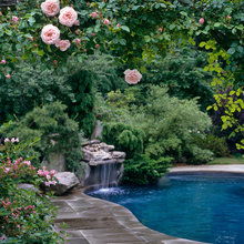 NEW Pool