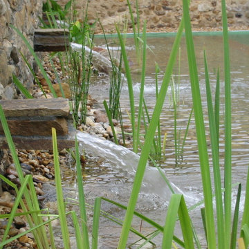 Baignade Naturelle BIOTEICH