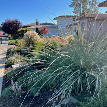 Ditch the Lawn!